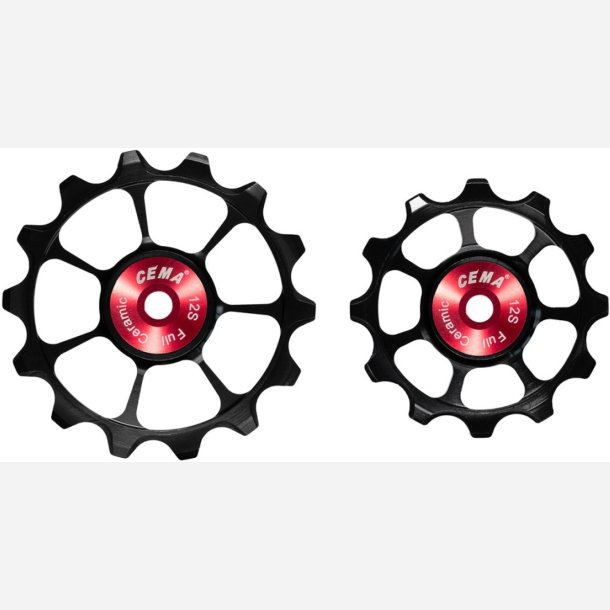CEMA 12-speed Shimano Road