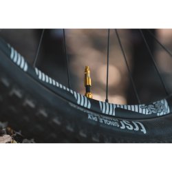 Lezyne Tubeless Valve CNC