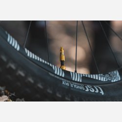 Lezyne Tubeless Valve CNC
